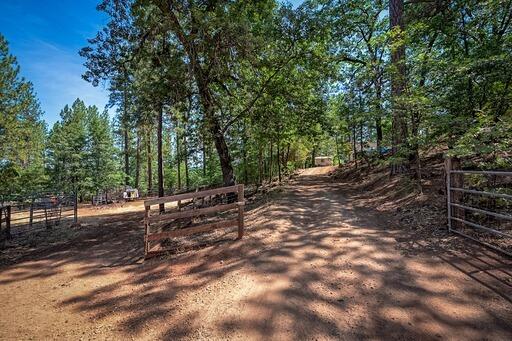 12003 Atkins Road Whitmore, CA 96096 - Photo 36 of 36 Land!