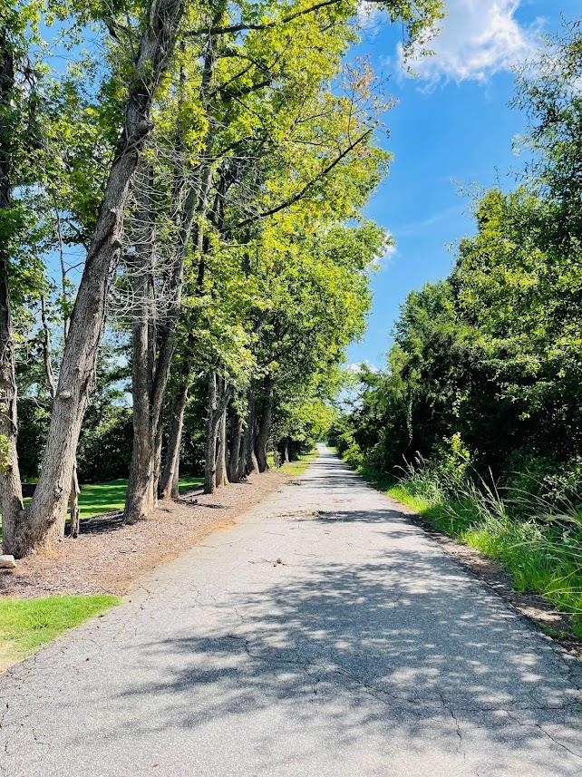 1218 Cherry Orchard Road Moore, SC 29369 - Photo 8 of 8