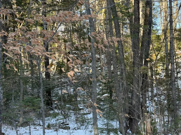 $300,000 | R6-l9 Dickey Mills Road, Avon, ME 04966