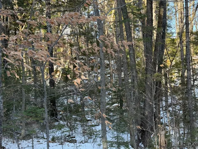 $300,000 | R6-l9 Dickey Mills Road, Avon, ME 04966