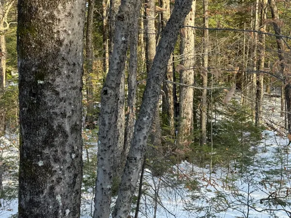 $300,000 | R6-l9 Dickey Mills Road, Avon, ME 04966