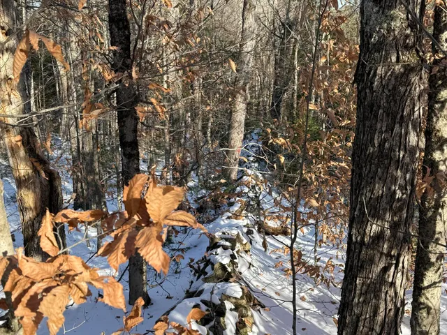 $300,000 | R6-l9 Dickey Mills Road, Avon, ME 04966