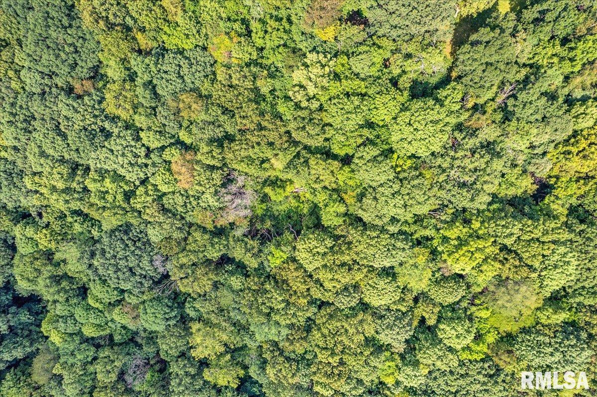 North Ivy Lake Road Chillicothe, IL 61523 - Photo 11 of 21