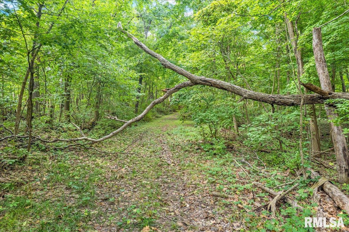 North Ivy Lake Road Chillicothe, IL 61523 - Photo 15 of 20