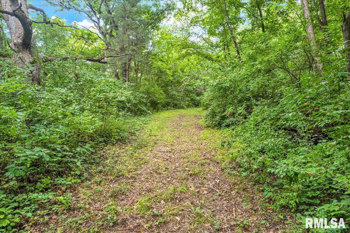 North Ivy Lake Road Chillicothe, IL 61523 - Photo 18 of 21