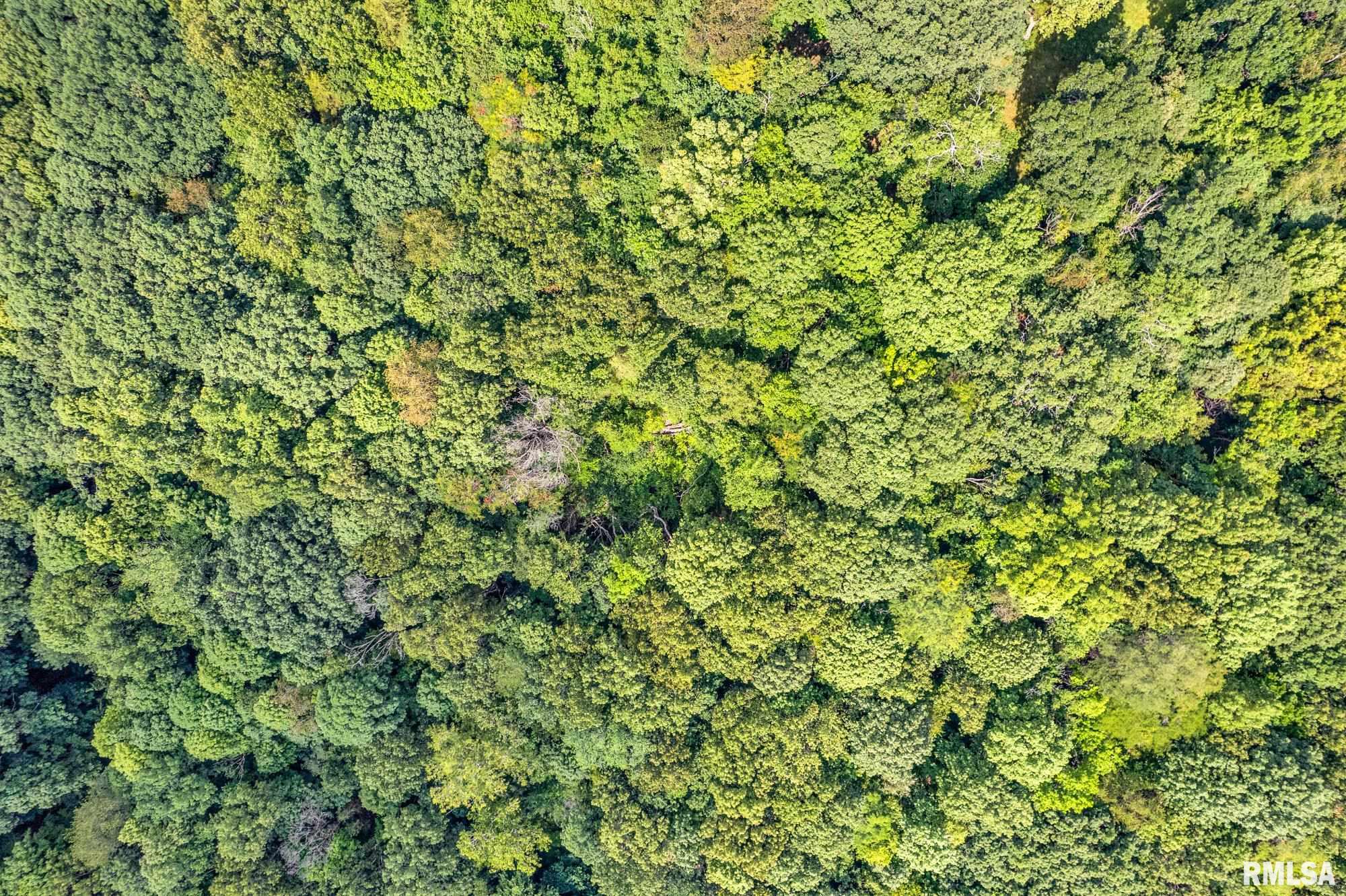 North Ivy Lake Road Chillicothe, IL 61523 - Photo 2 of 21