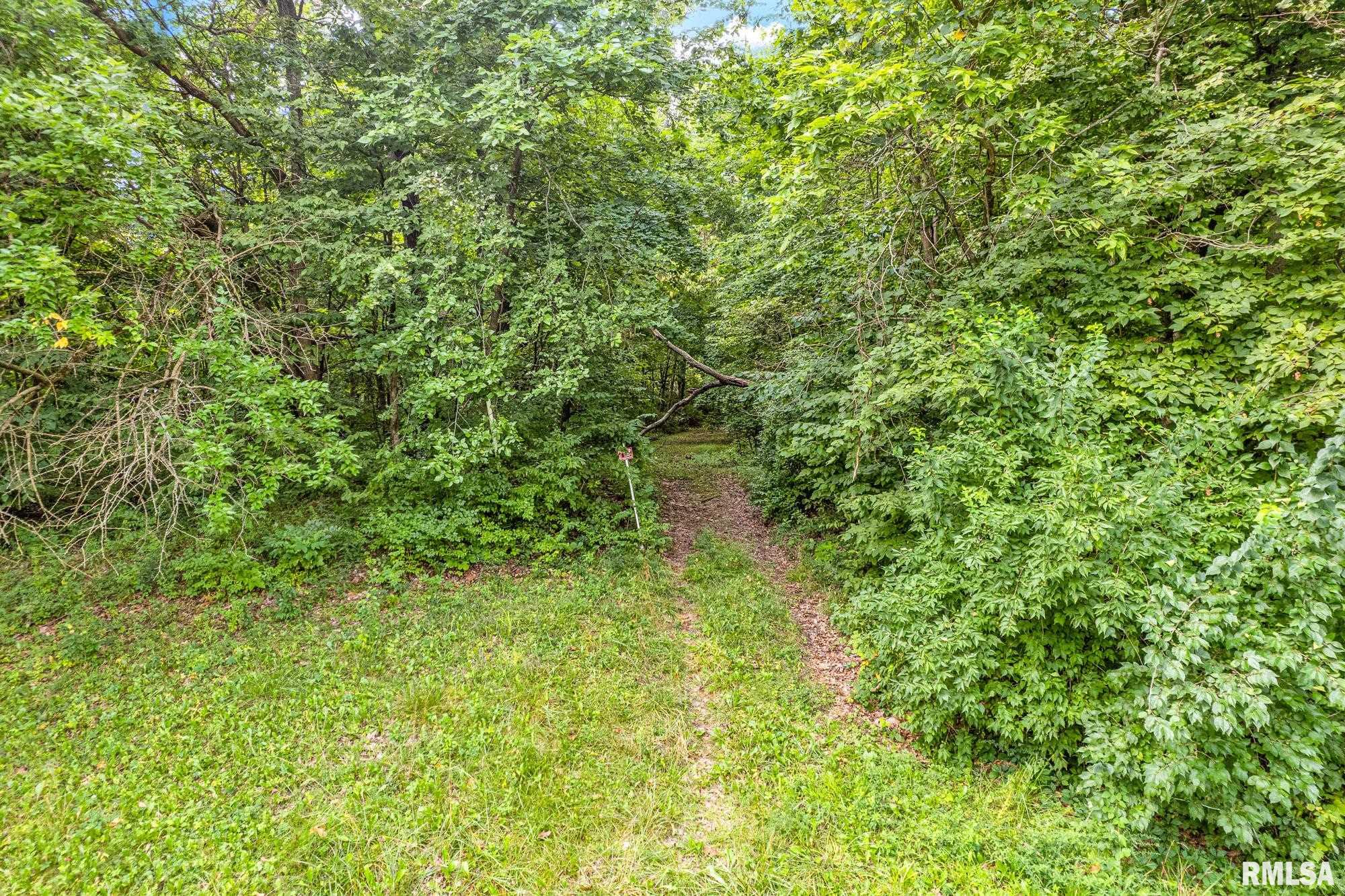 North Ivy Lake Road Chillicothe, IL 61523 - Photo 3 of 21