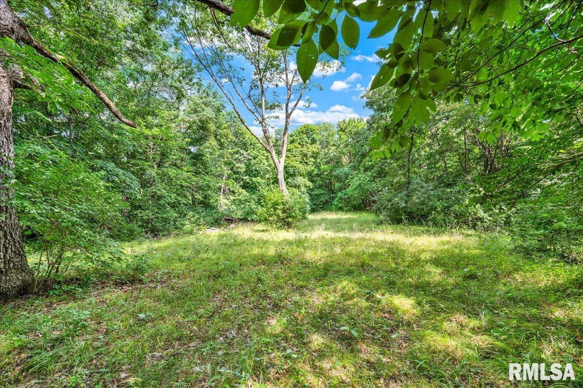 North Ivy Lake Road Chillicothe, IL 61523 - Photo 6 of 20