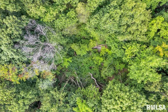 $99,900 | North Ivy Lake Road, Chillicothe, IL 61523