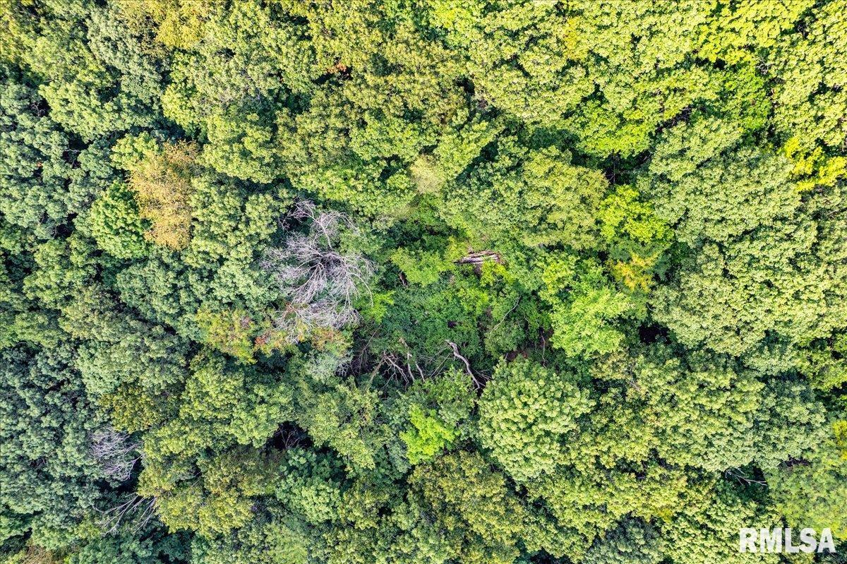 North Ivy Lake Road Chillicothe, IL 61523 - Photo 9 of 20