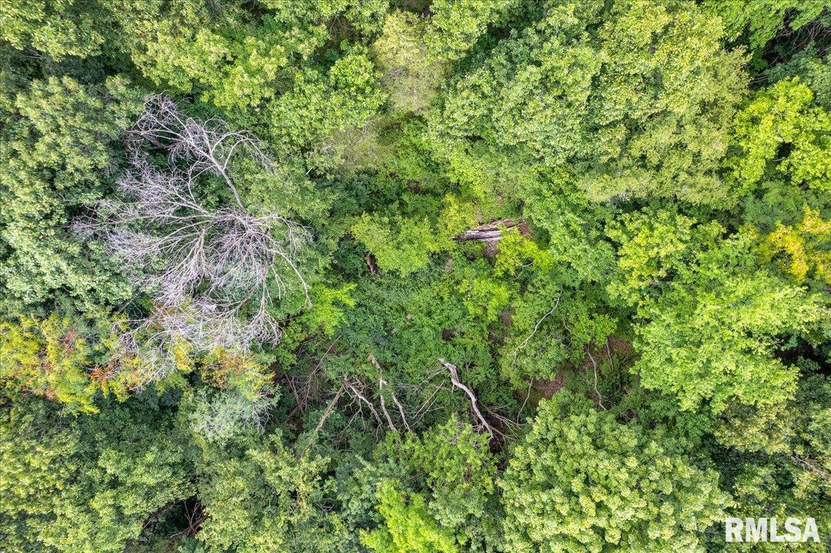 North Ivy Lake Road Chillicothe, IL 61523 - Photo 9 of 21