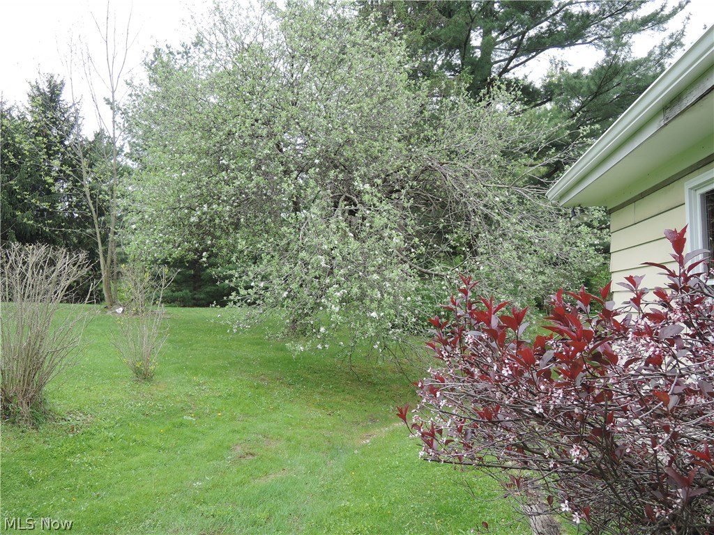 13091 County Line Road Chesterland, OH 44026 - Photo 16 of 23 Spring blossoms at the back of the 3 car garage.