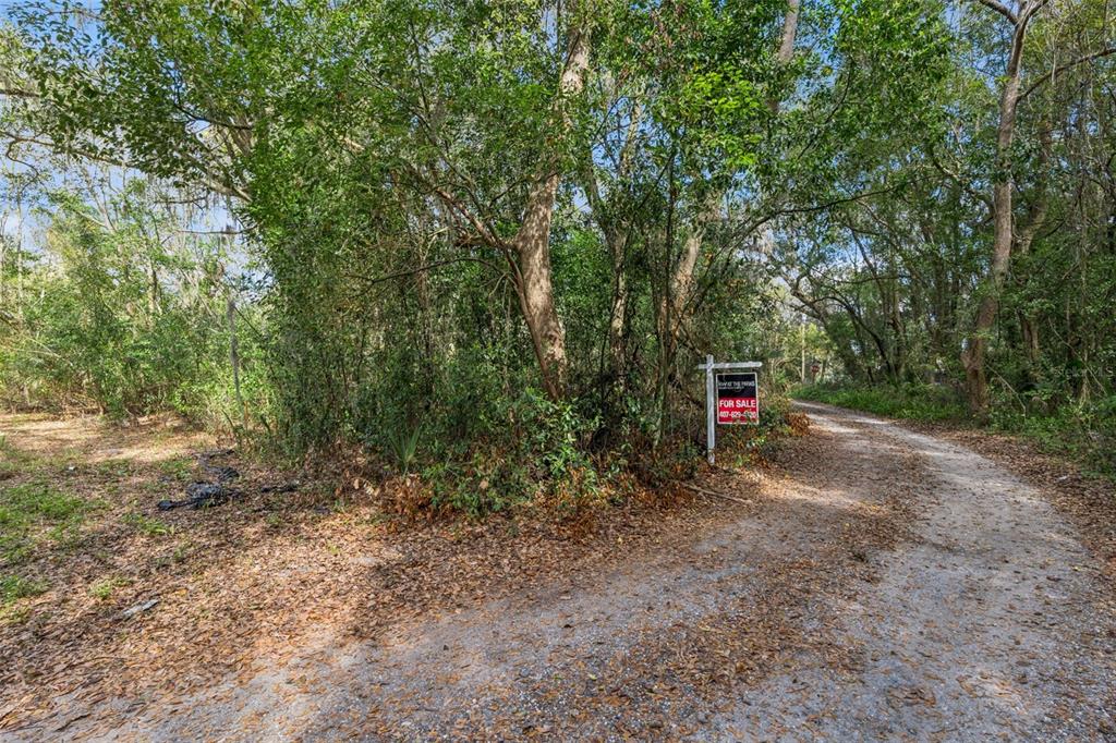 Mechanic Street Maitland, FL 32751 - Photo 2 of 12 a view of a forest with trees