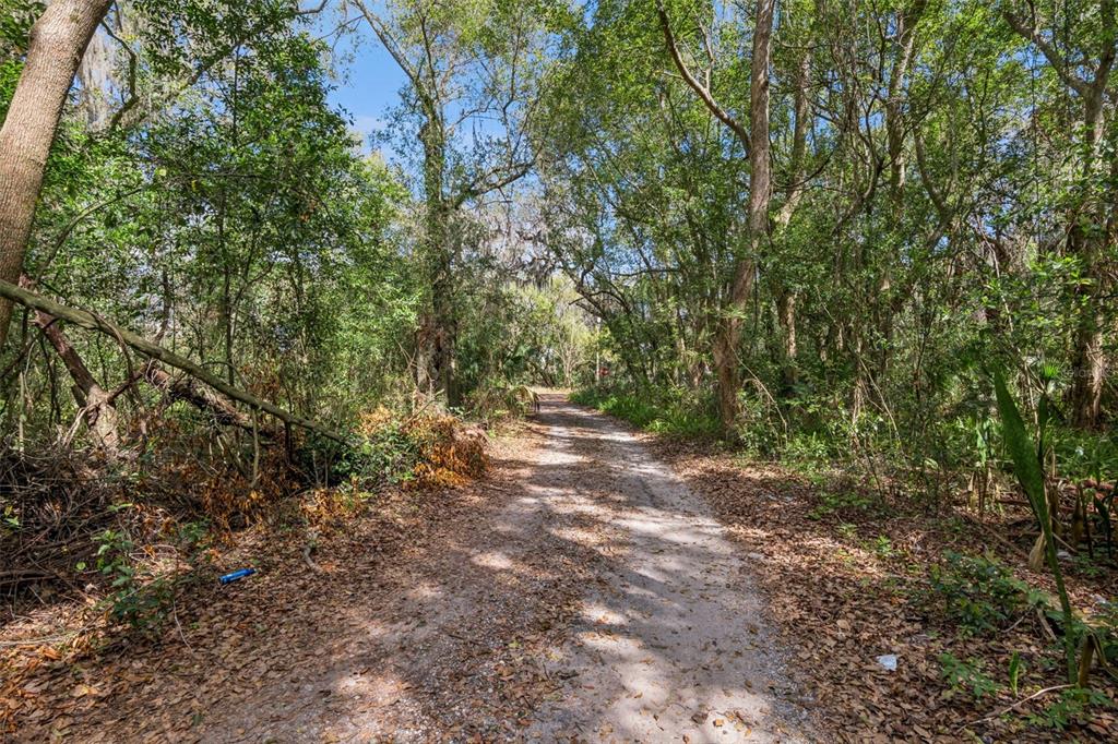 Mechanic Street Maitland, FL 32751 - Photo 3 of 12 a view of outdoor space and trees