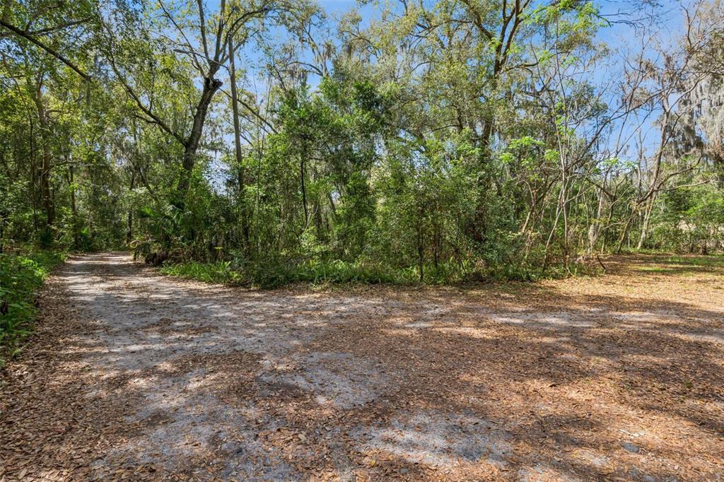 Mechanic Street Maitland, FL 32751 - Photo 4 of 12 a view of a yard with a tree