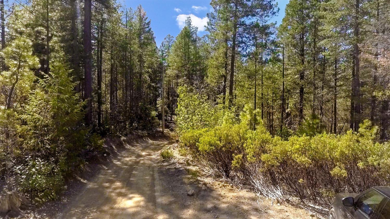 40 Ringtail Road Georgetown, CA 95634 - Photo 15 of 26 Gallery Image 15