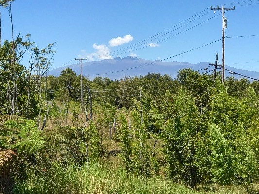 74 Kokokahi Road Mountain View, HI 96771 - Photo 9 of 9 Gallery Image 9