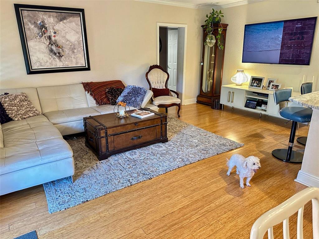 8911 Blind Pass Road, Unit 220 St. Pete Beach, FL 33706 - Photo 27 of 67 a living room with furniture rug and wooden floor