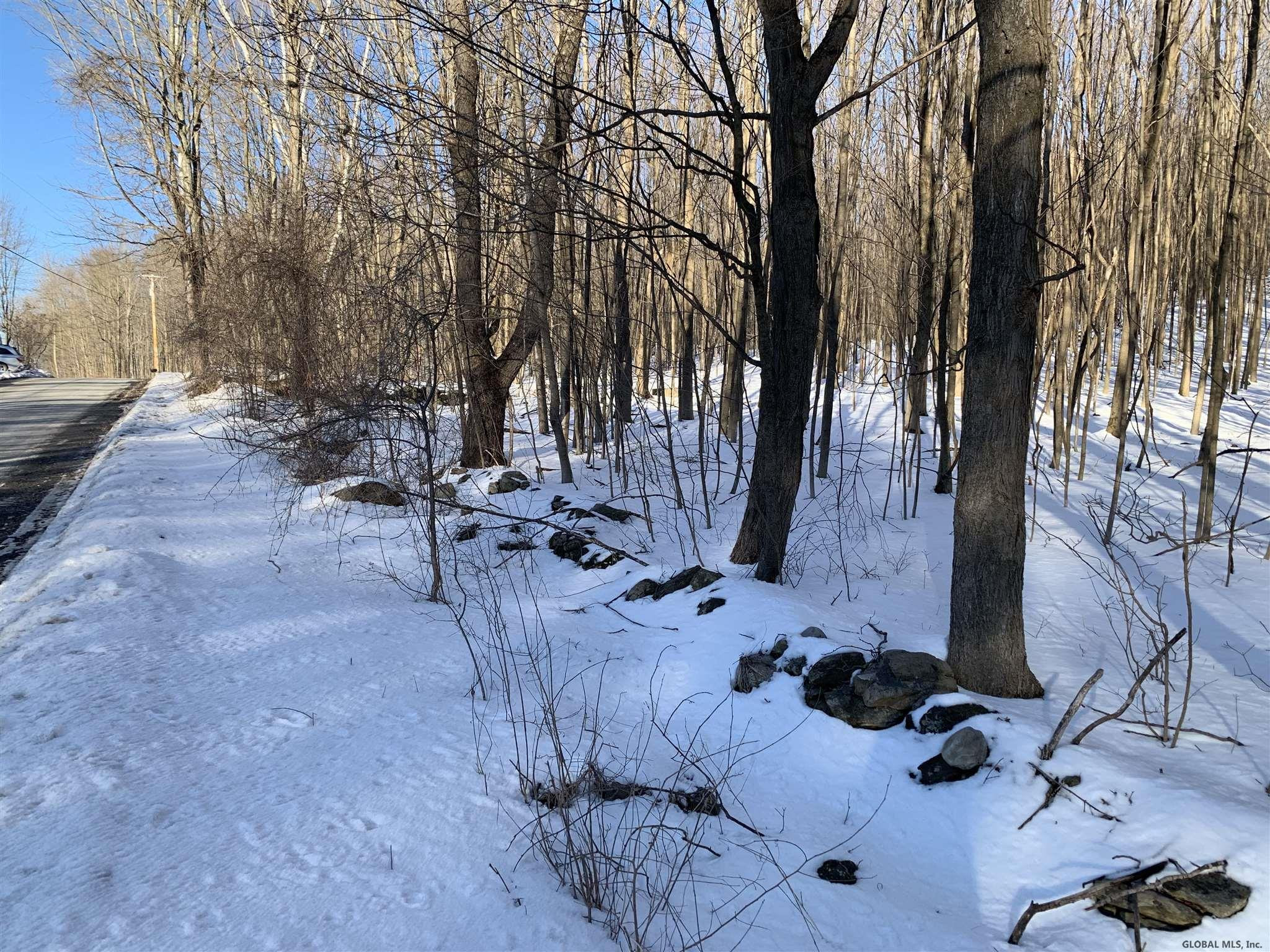 4 Beck Road Eagle Bridge, NY 12057 - Photo 4 of 16 Photo 4