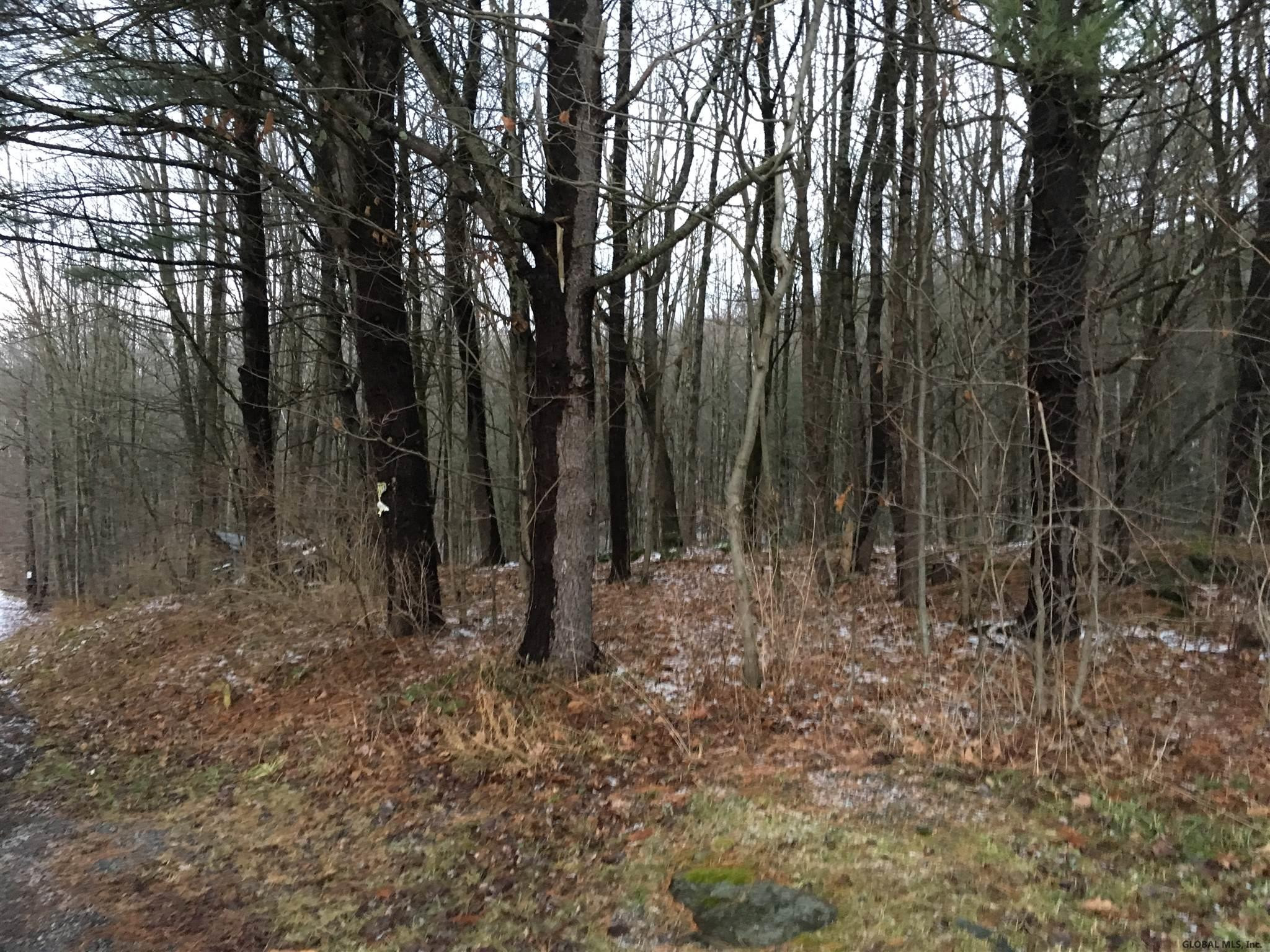 4 Beck Road Eagle Bridge, NY 12057 - Photo 8 of 16 Photo 8