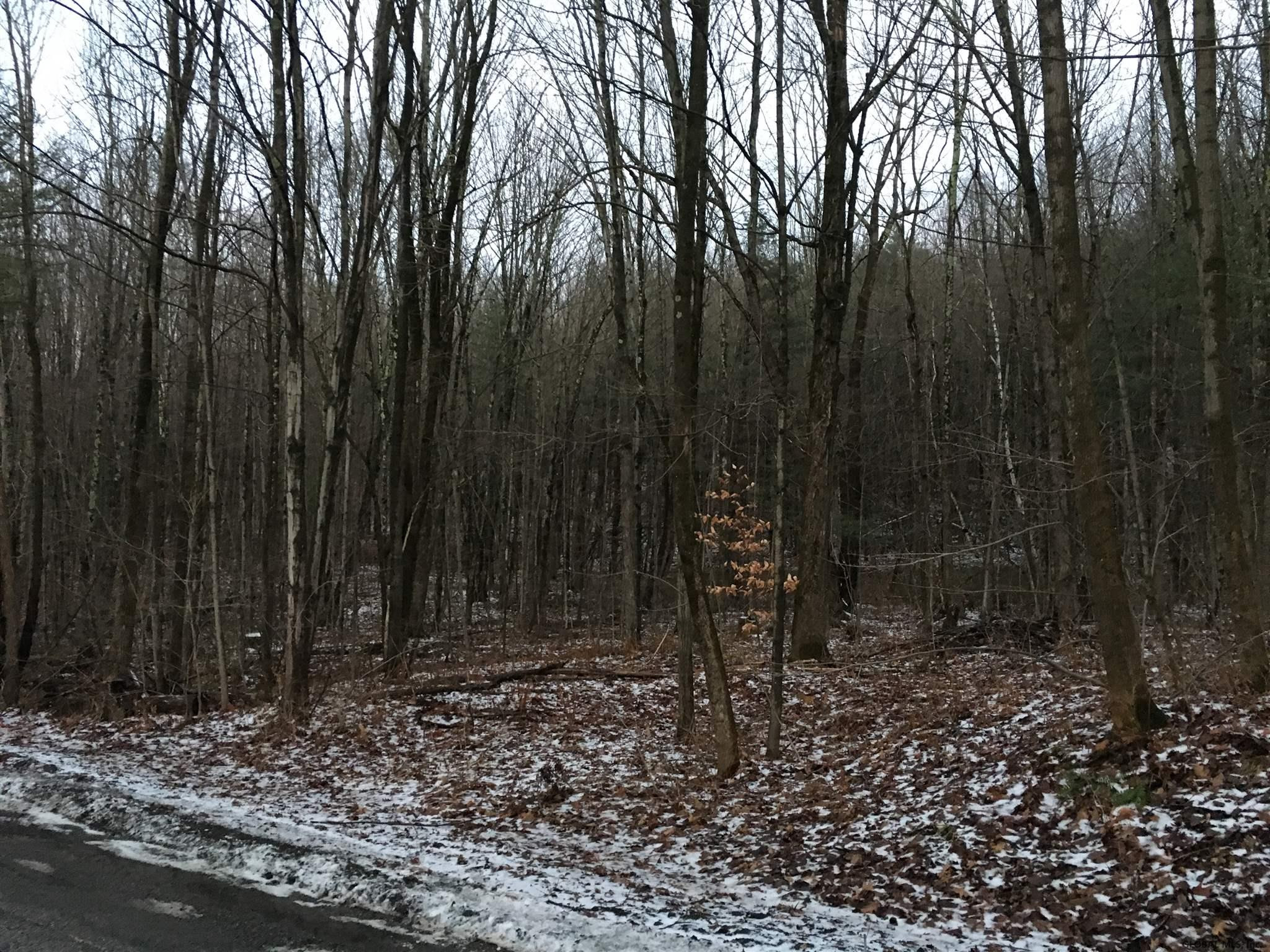 4 Beck Road Eagle Bridge, NY 12057 - Photo 10 of 16 Photo 10