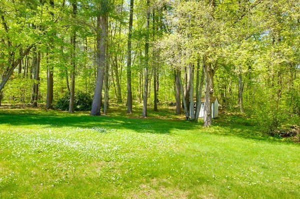 15 Jackson Road Burlington, MA 01803 - Photo 21 of 21 Gallery Image 21