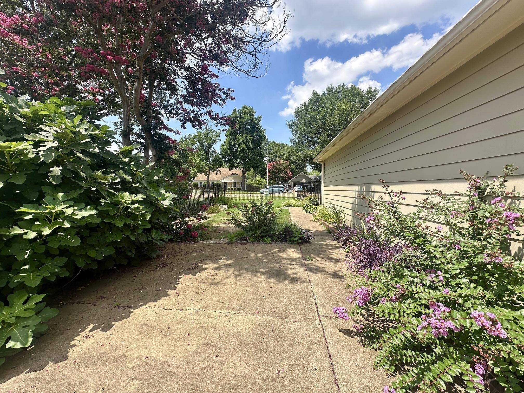 3489 Evening Light Drive Bartlett, TN 38135 - Photo 24 of 30 a view of a pathway with a tree