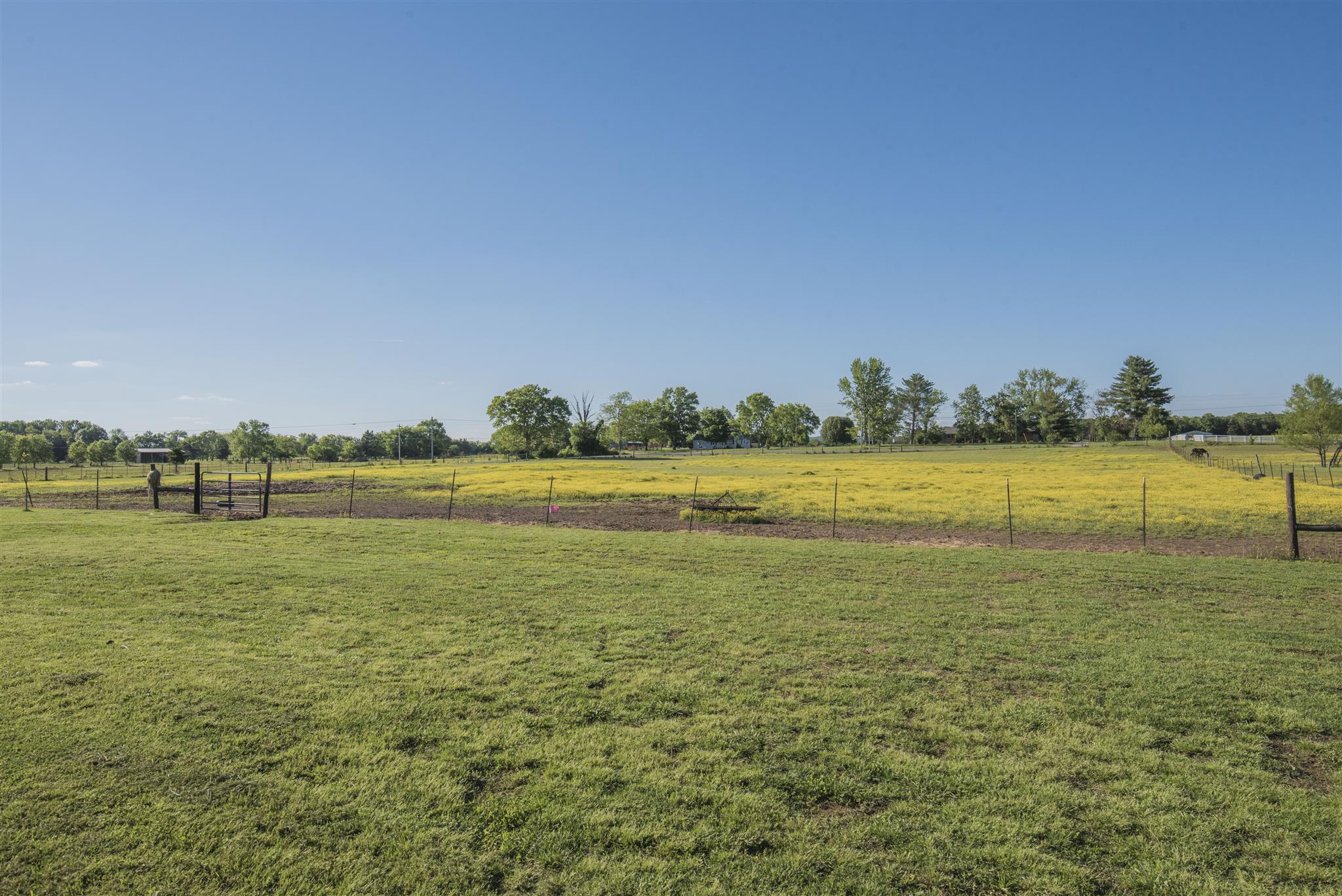 4701 Midland Fosterville Road Bell Buckle, TN 37020 - Photo 28 of 30 Gallery Image 28
