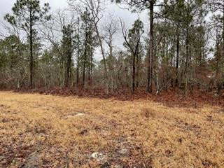Lot 1 Joyner Pond Road Aiken, SC 29803 - Photo 2 of 3