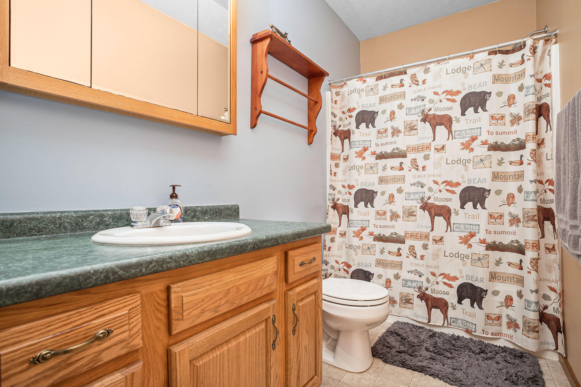 4335 Curran Road Niles, MI 49120 - Photo 33 of 45 IMG_8997