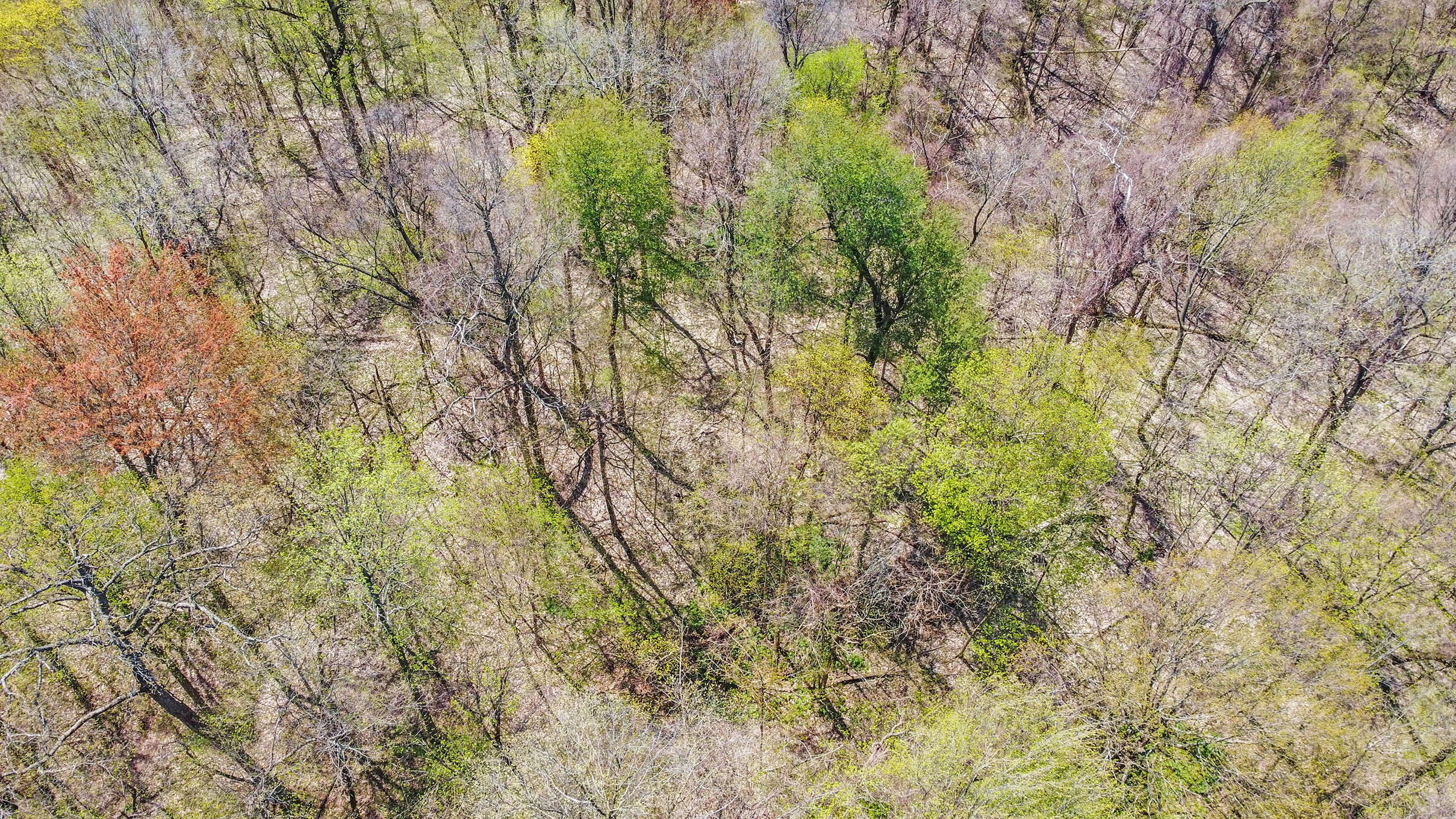 4335 Curran Road Niles, MI 49120 - Photo 44 of 45 DJI_0666