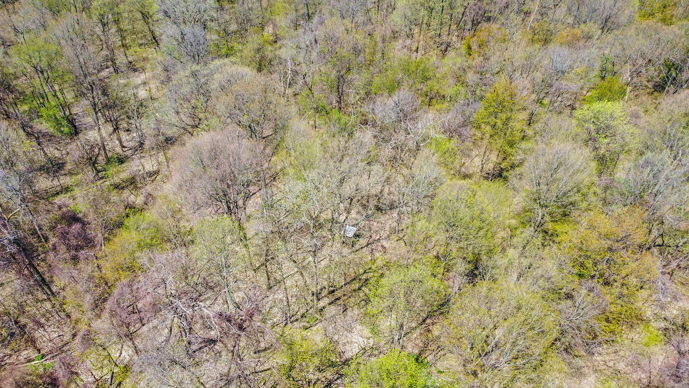 4335 Curran Road Niles, MI 49120 - Photo 45 of 45 DJI_0667