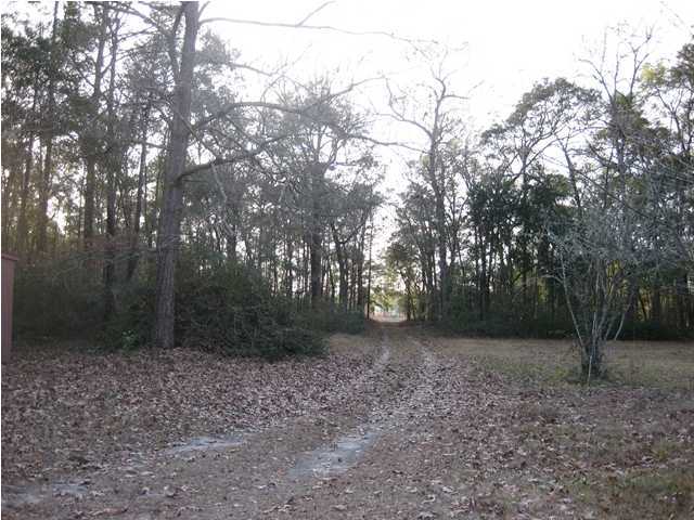 5114 Dr Taylor Road Adams Run, SC 29449 - Photo 3 of 18 Additional Photo