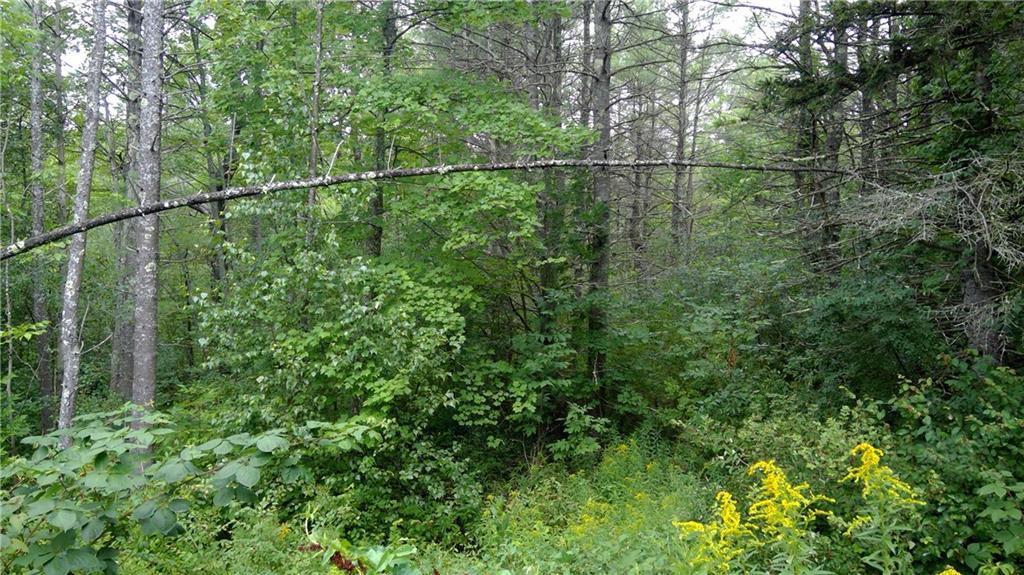 342 Middle Road Falmouth, ME 04105 - Photo 24 of 26 Photo