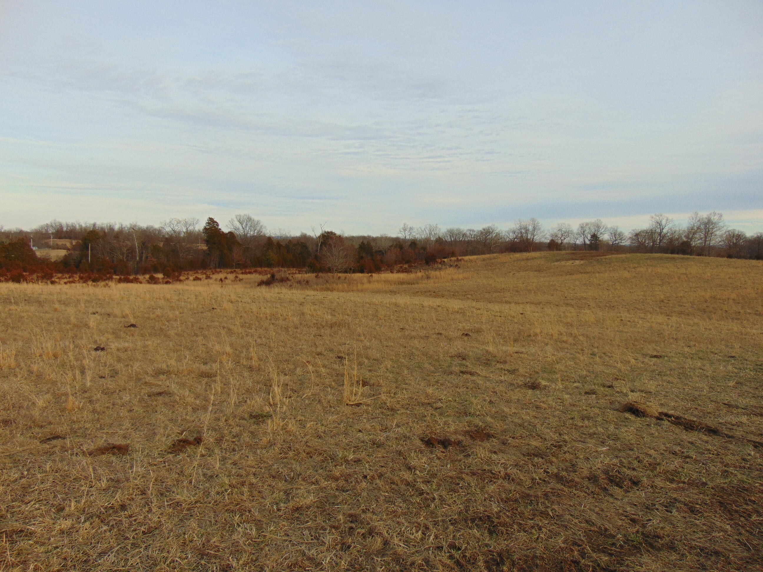0 Charlie Norris Road Richmond, KY 40475 - Photo 15 of 15 DSC01345