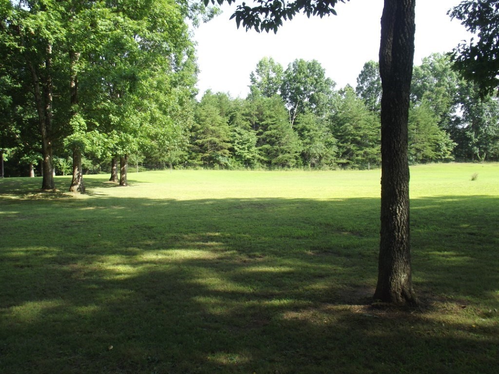 1368 Walt Reed Road Grandview, TN 37337 - Photo 59 of 66 Gallery Image 59