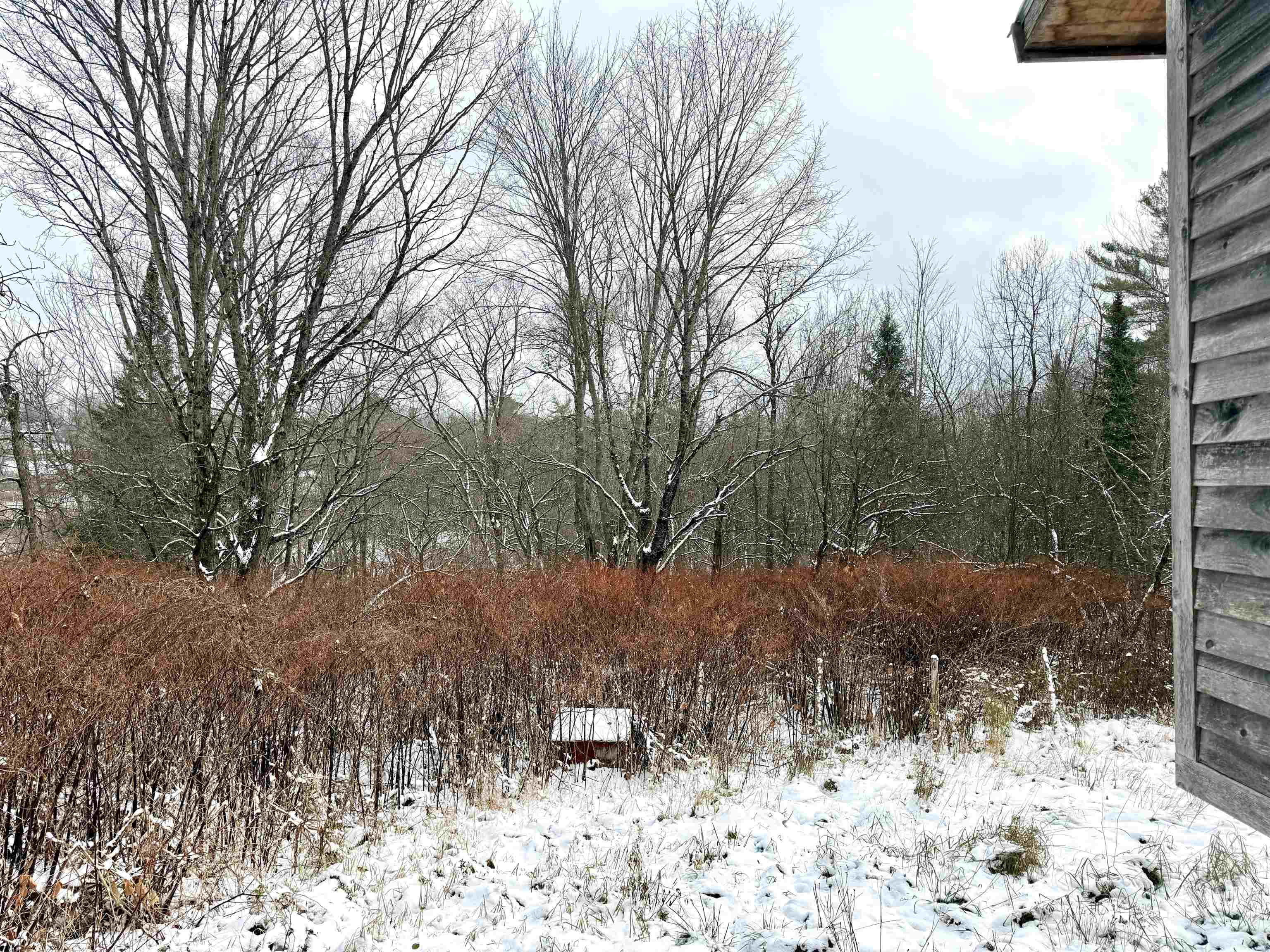 25 Maillet Road Lunenburg, VT 05906 - Photo 27 of 33