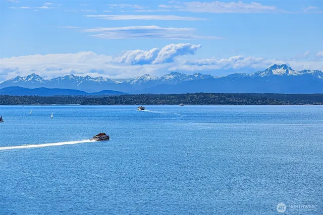 a picture of flowers