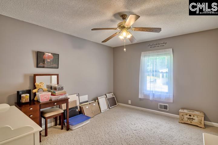 166 Mill Stream Road Lexington, SC 29072 - Photo 18 of 45