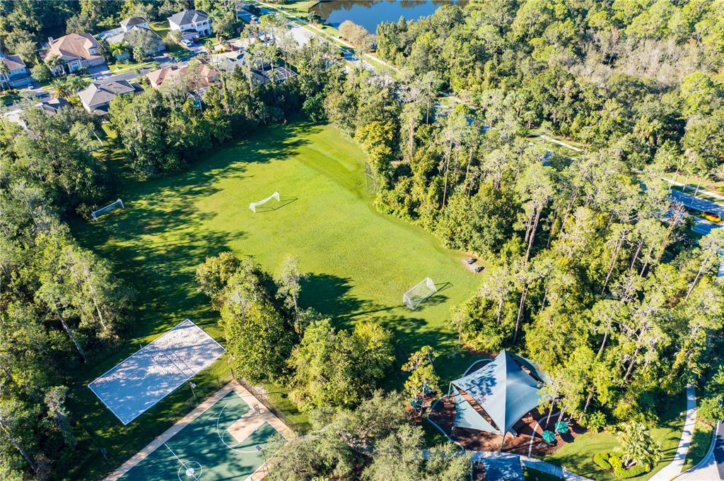 2409 Spring Hollow Loop Wesley Chapel, FL 33544 - Photo 30 of 47 a view of a yard with plants and large trees