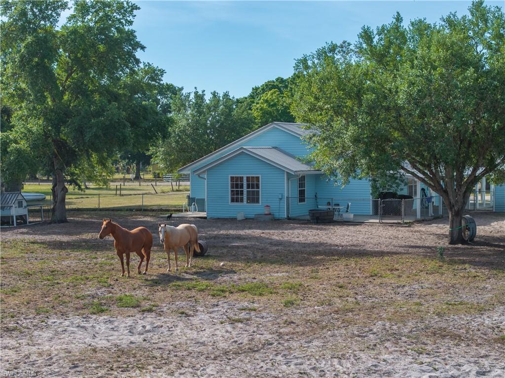 3666 Ft Simmons Avenue Fort Denaud, FL 33935 - Photo 36 of 41 Lots of beautiful oak trees for shading