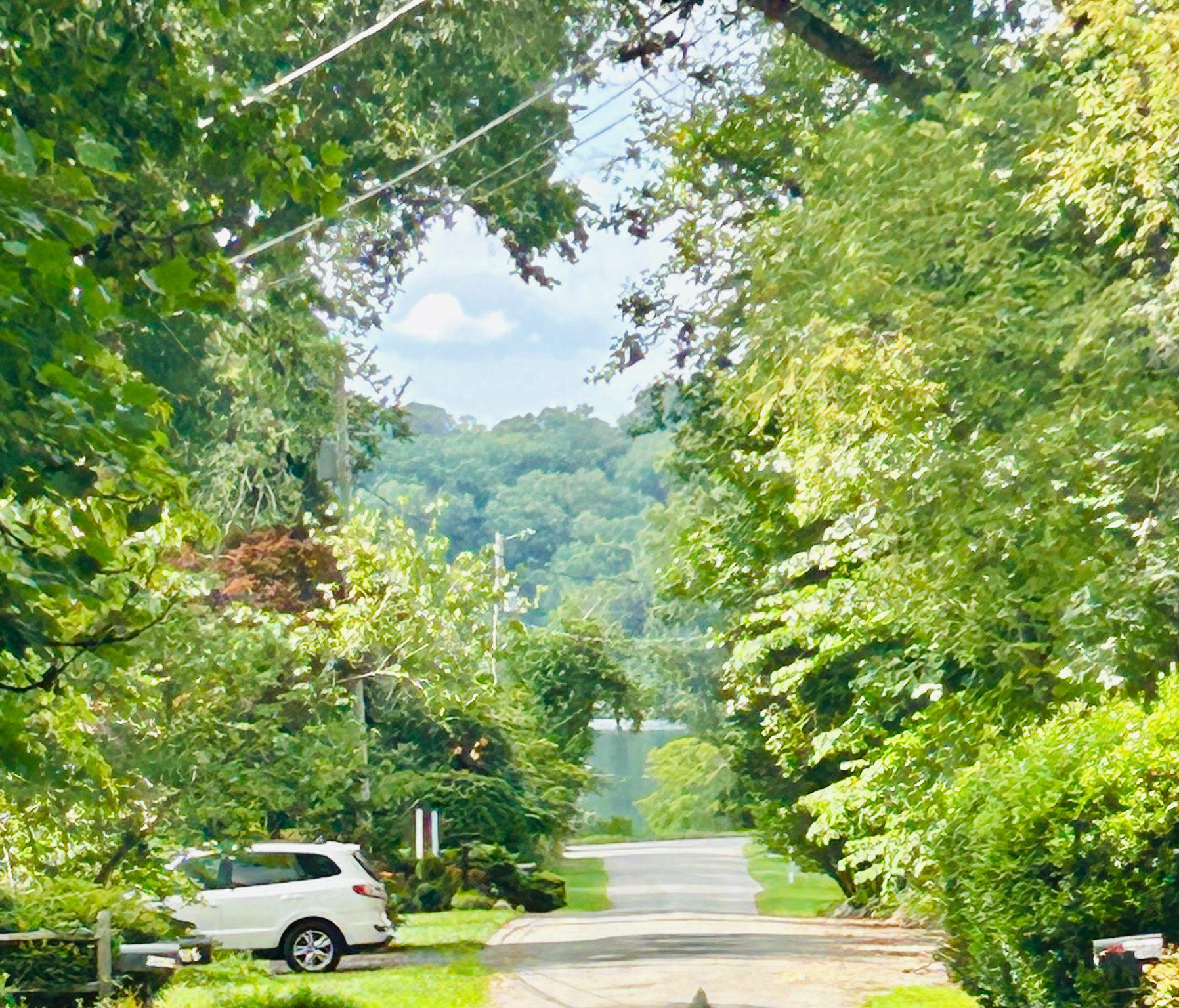 14500 Leonard Calvert Drive Accokeek, MD 20607 - Photo 4 of 18 Beautiful tree-lined country lane leading to water