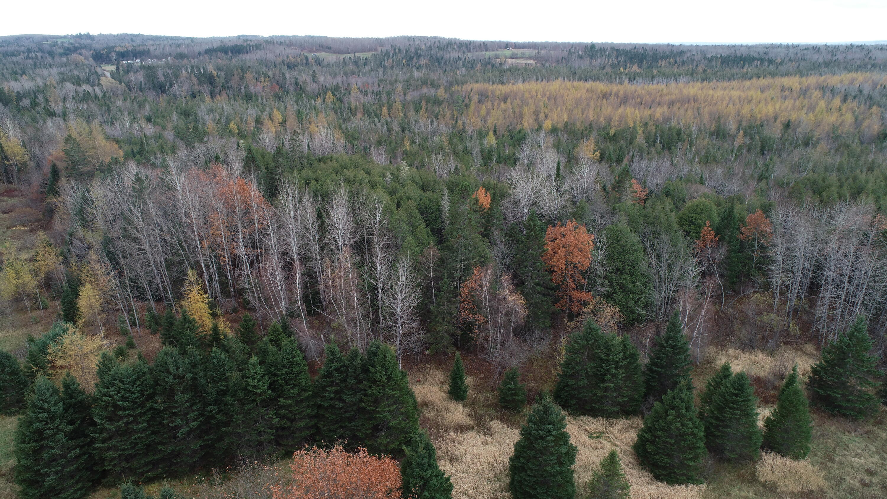 Lot 18 U.S. Rte 2 Newport, ME 04953 - Photo 45 of 62