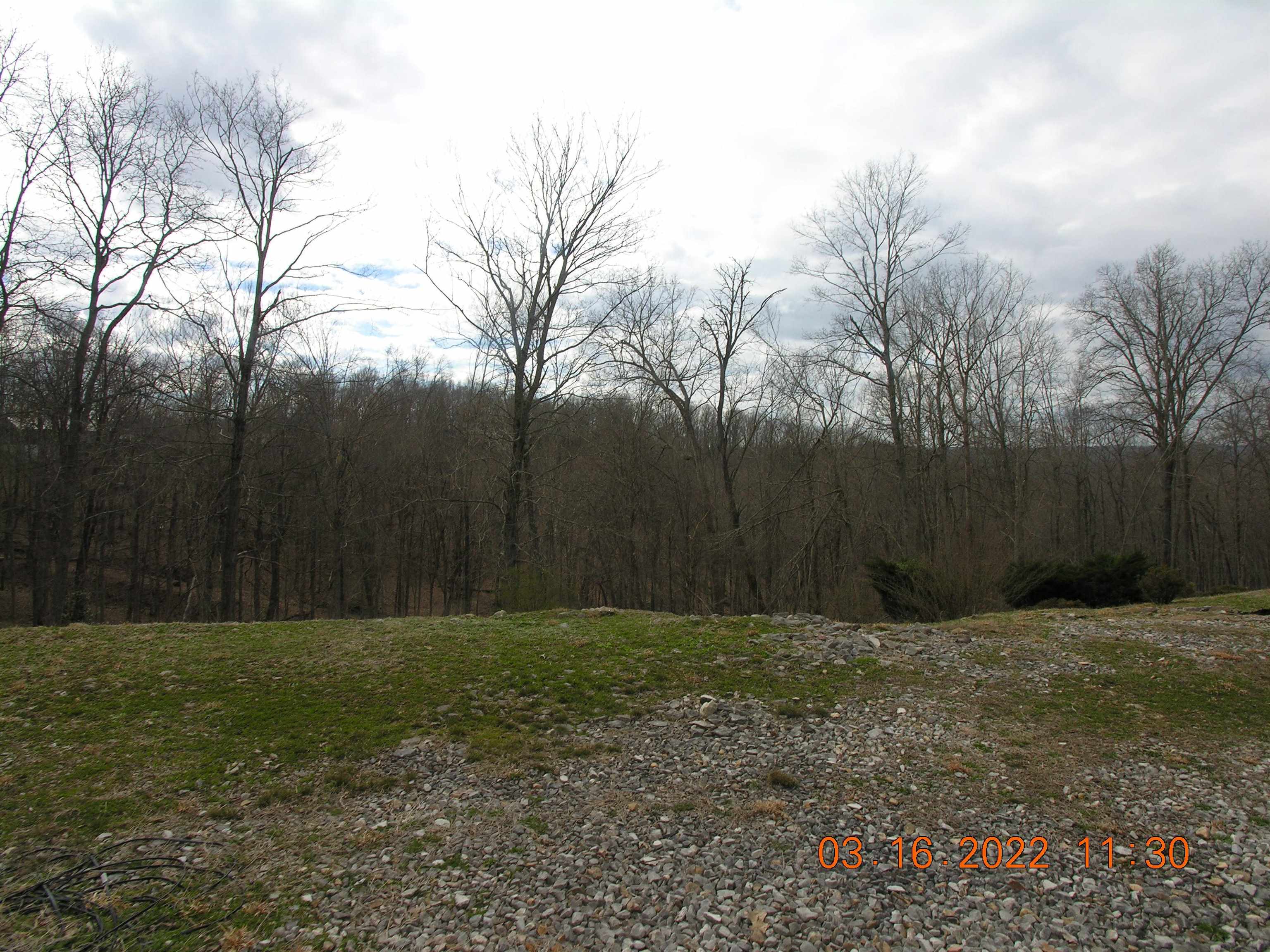 7 Holly Mountain Road Lavalette, WV 25535 - Photo 9 of 15 Gallery Image 9