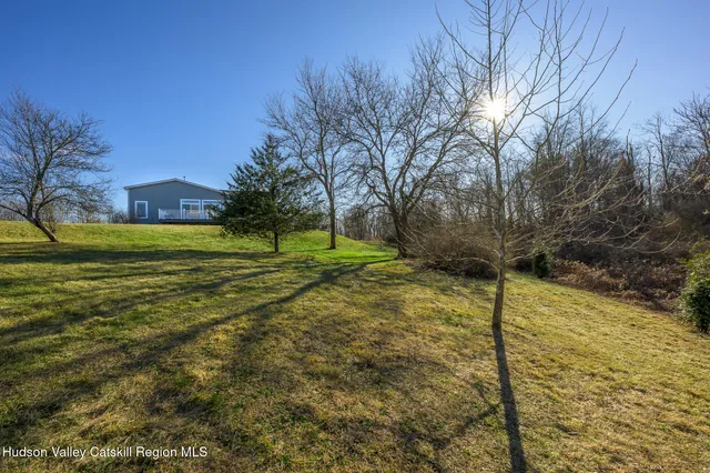 a view of a field with some trees