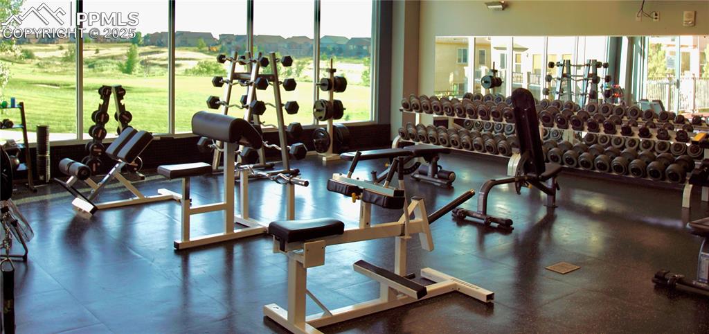 9962 Hidden Ranch Court Peyton, CO 80831 - Photo 44 of 48 a room with gym equipment