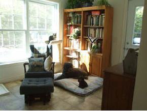 109 North Mason Road Brookline, NH 03033 - Photo 10 of 12