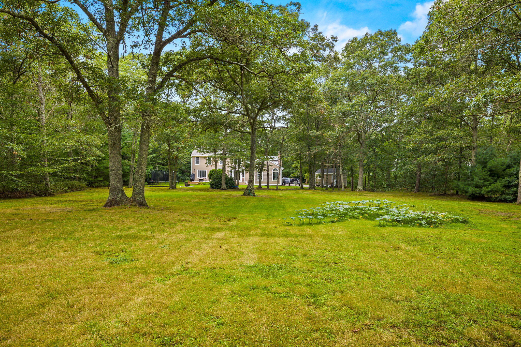 72 John Ewer Road Sandwich, MA 02563 - Photo 33 of 38 a view of a park with large trees