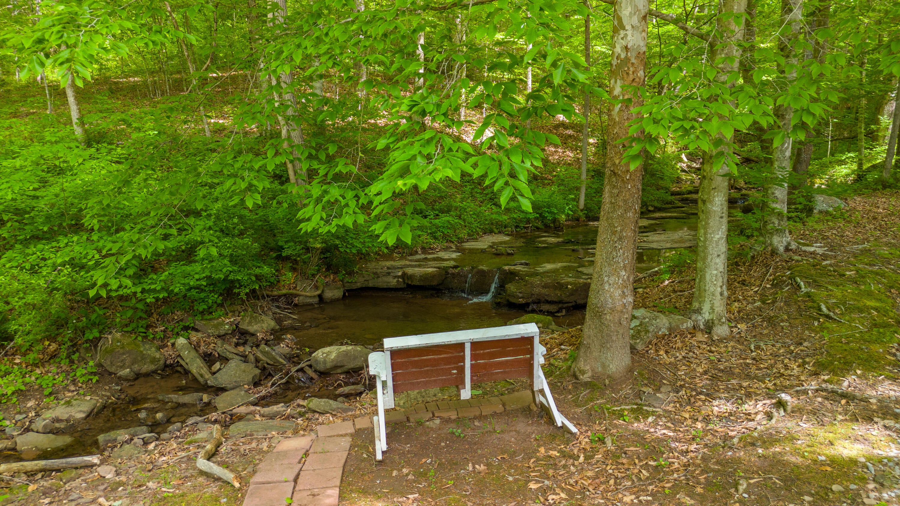 800 Eagle Branch Road Alderson, WV 24910 - Photo 41 of 57 Gallery Image 41