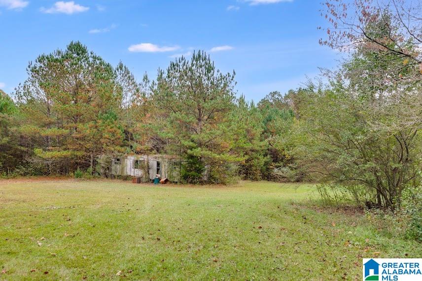 607 County Road 88 Fruithurst, AL 36262 - Photo 7 of 16